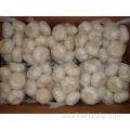 Large Bag Pure White Garlic Packed 500g bag